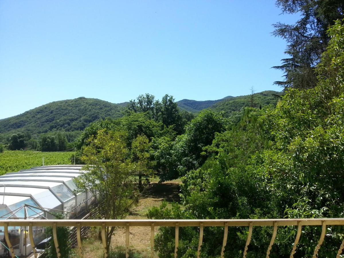 Villa Les Martinets-Piscine-Jacuzzi-Voie Verte-Gorges D'Heric-Massif Du Caroux Mons Olargues 34600 Le Poujol-sur-Orb 외부 사진
