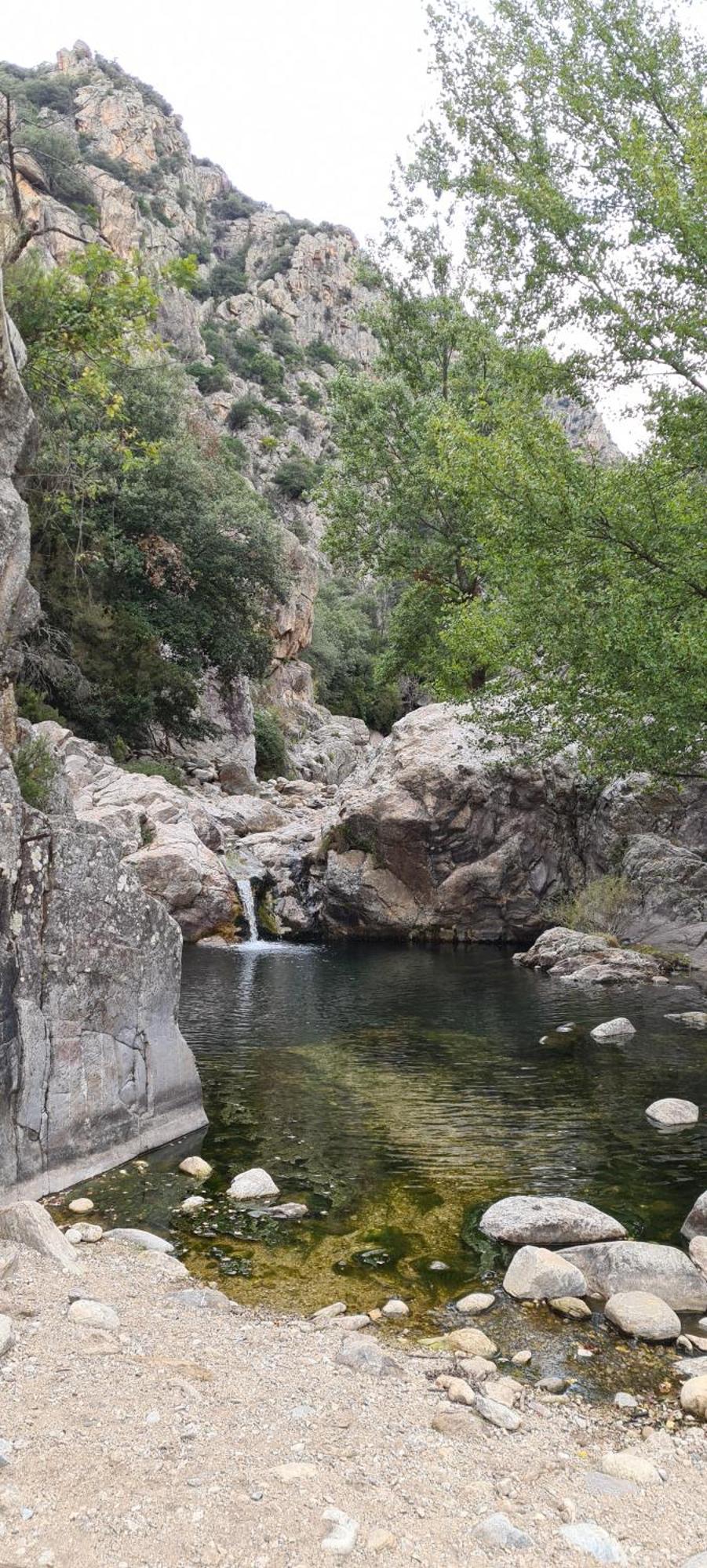 Villa Les Martinets-Piscine-Jacuzzi-Voie Verte-Gorges D'Heric-Massif Du Caroux Mons Olargues 34600 Le Poujol-sur-Orb 외부 사진
